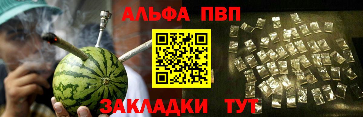 Alfa_PVP СК Можга