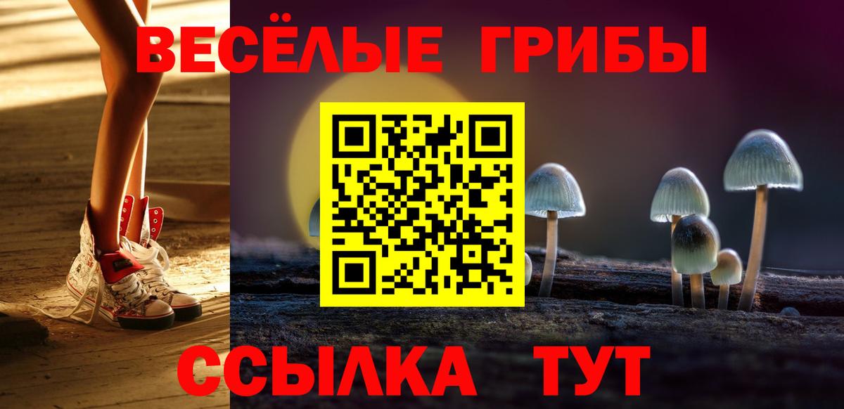 Галлюциногенные грибы ЛСД Можга