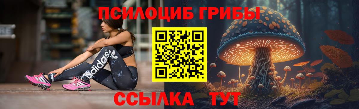 Псилоцибиновые грибы прущие грибы  Вход с VPN  Можга 